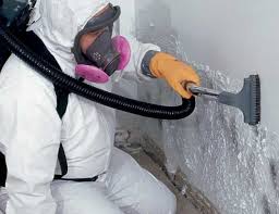 Best Industrial Mold Remediation  in USA